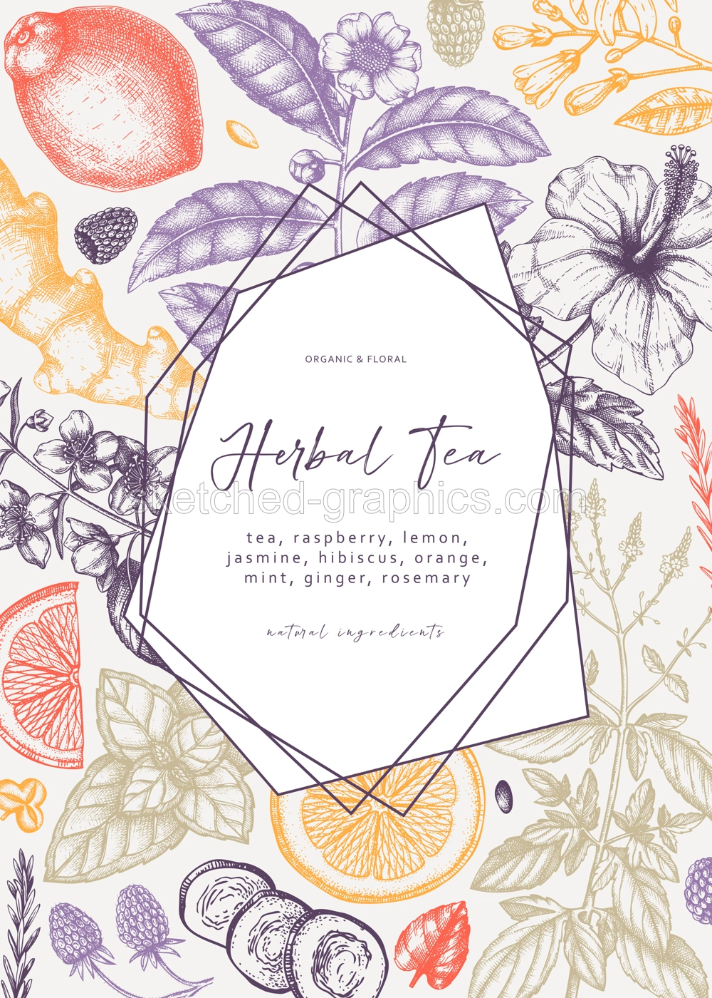Trendy vector design with hand sketched herbal tea ingredients. Colorful herbs, leaves, flowers, fruits hand drawings background. Perfect for recipe, menu, label, packaging. Botanical illustration.  Illustration